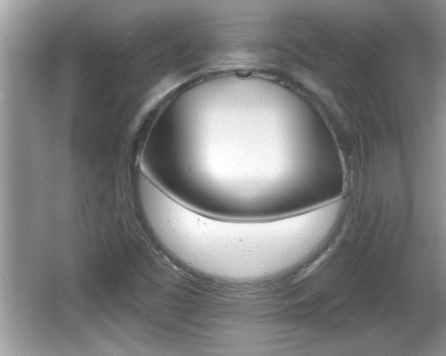 X0000065991453200603030950