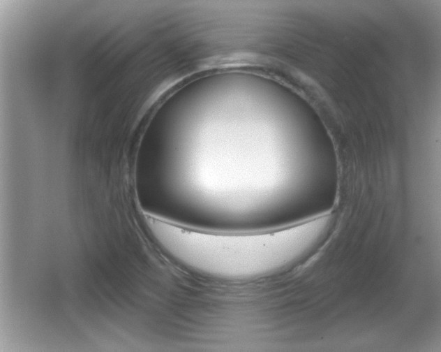 X0000065991457200603030949