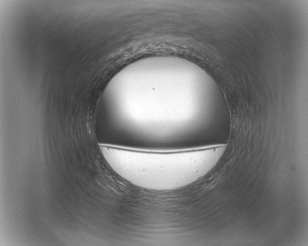 X0000065991490200603030948