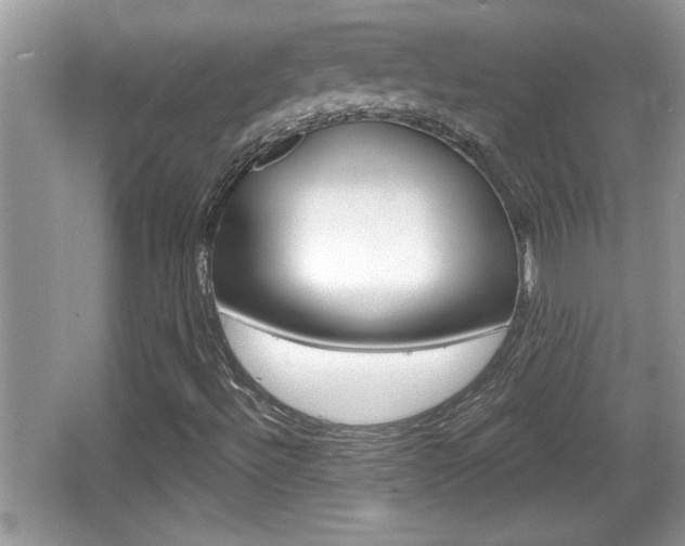 X0000065991492200603030948