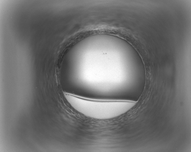 X0000065991493200603030948