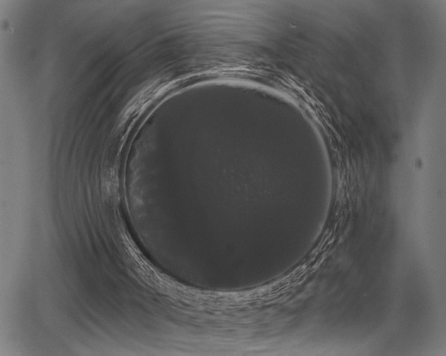 X0000065990002200603031207