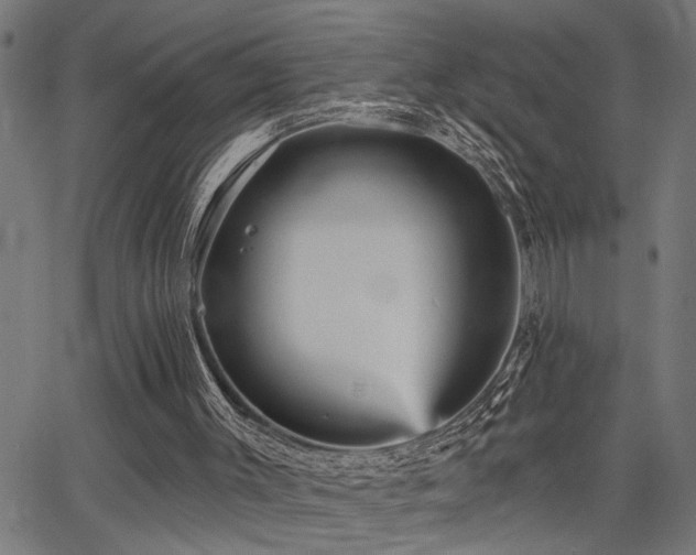 X0000065990003200603031207