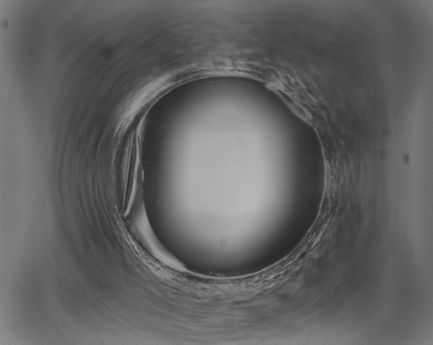 X0000065990005200603031207