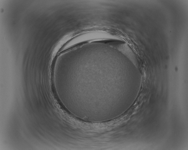 X0000065990006200603031207