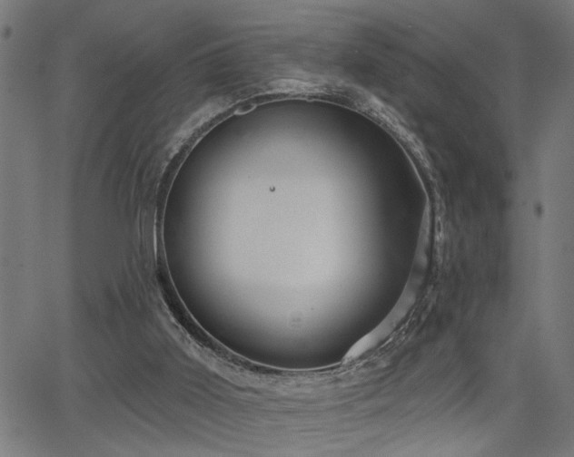 X0000065990011200603031207