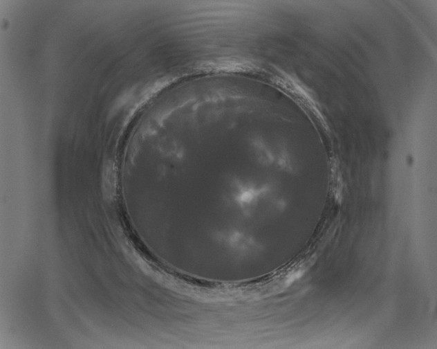X0000065990012200603031207