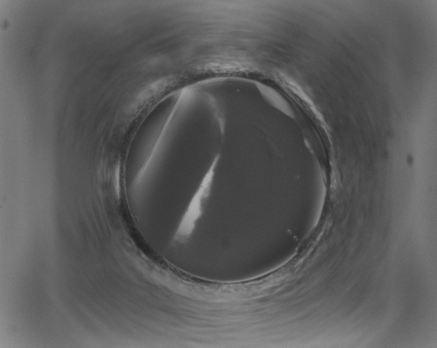 X0000065990019200603031207