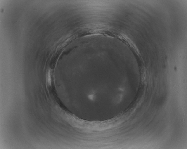 X0000065990026200603031207
