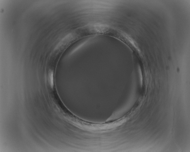 X0000065990027200603031207