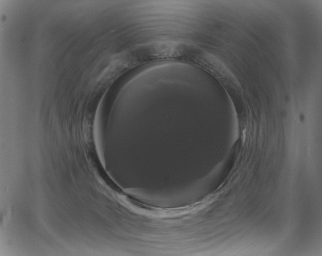 X0000065990035200603031207