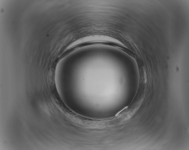 X0000065990044200603031206