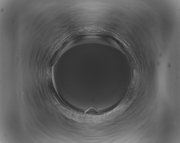 X0000065990048200603031206