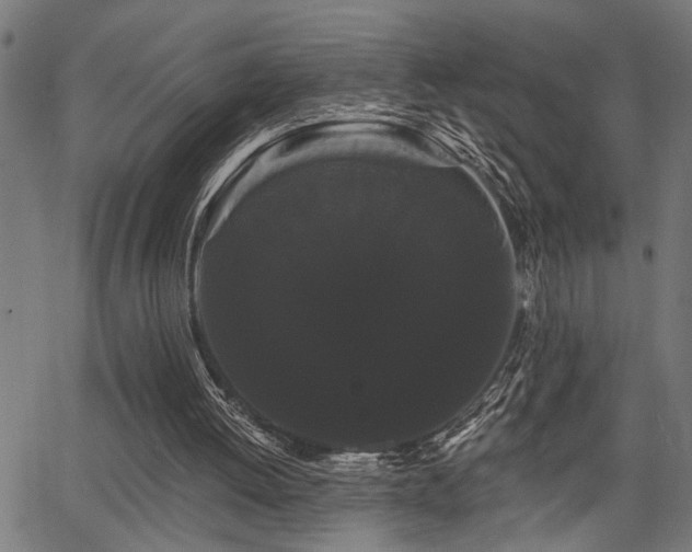 X0000065990052200603031206