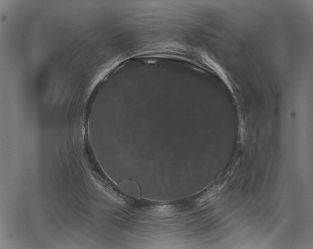 X0000065990059200603031206