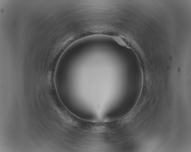 X0000065990066200603031206