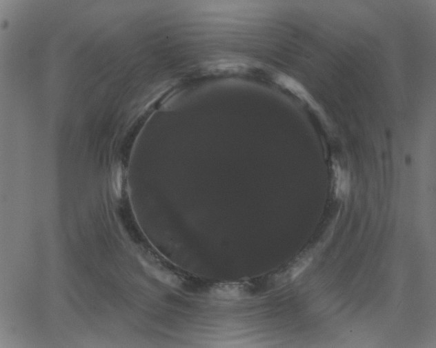 X0000065990076200603031206