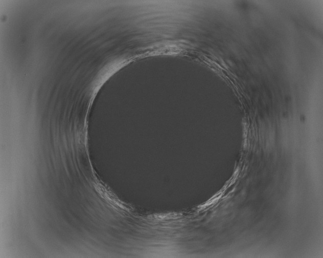 X0000065990100200603031206