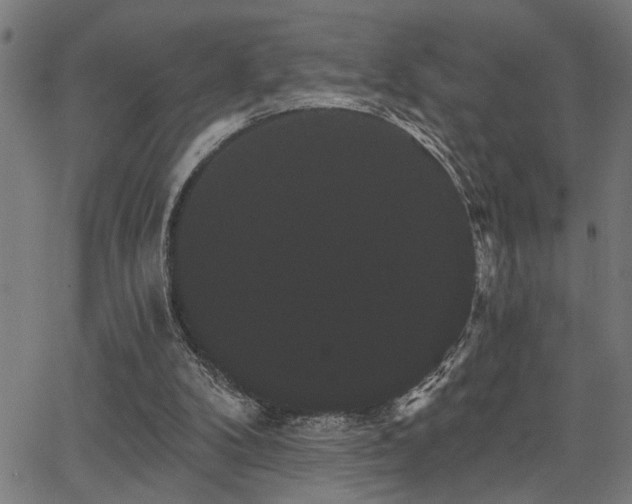 X0000065990104200603031205