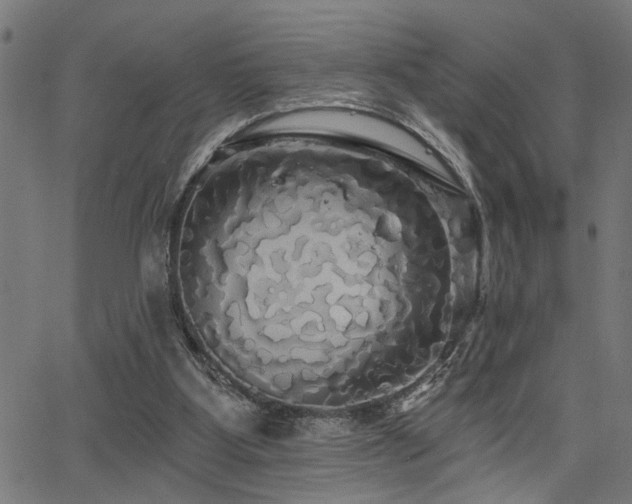 X0000065990107200603031205