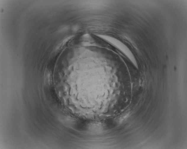 X0000065990123200603031205