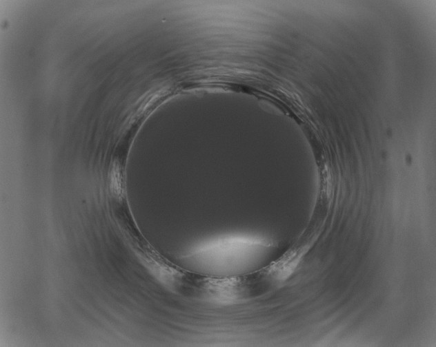 X0000065990143200603031205
