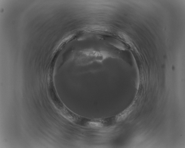 X0000065990167200603031204