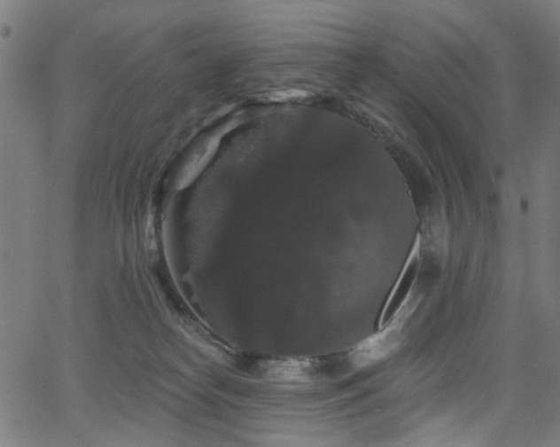 X0000065990182200603031205