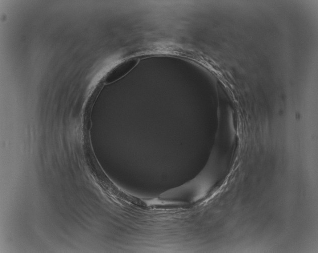 X0000065990200200603031204