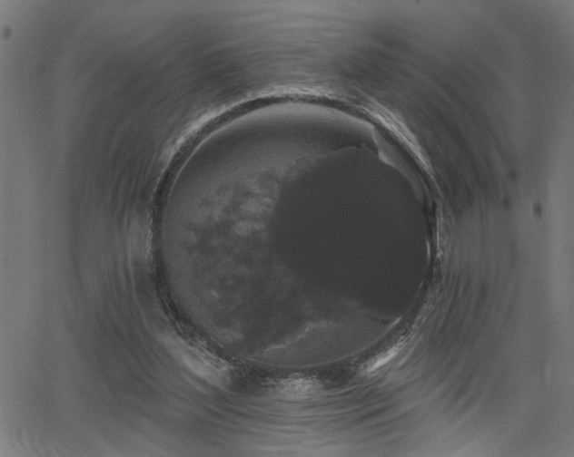 X0000065990204200603031204