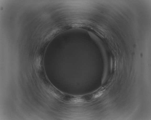 X0000065990219200603031203