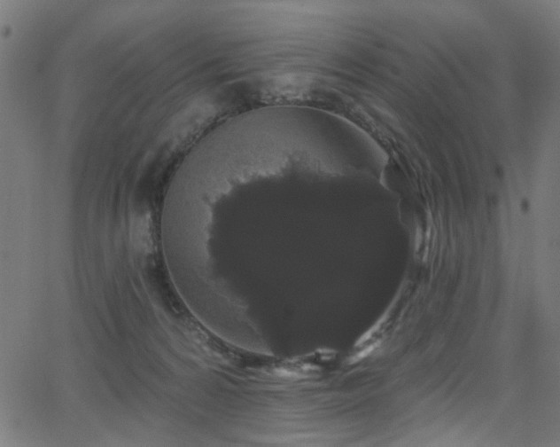 X0000065990224200603031203