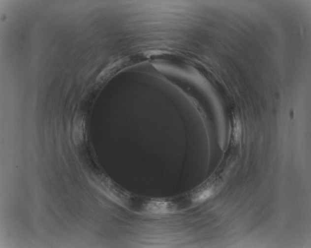 X0000065990227200603031203