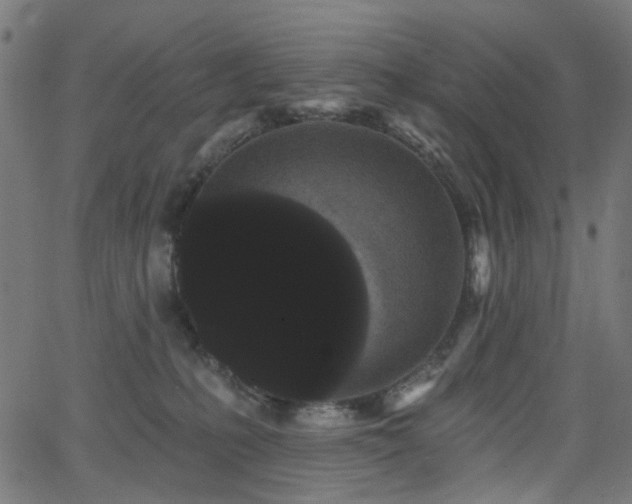 X0000065990231200603031203
