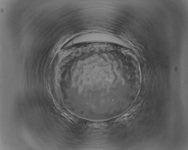 X0000065990241200603031202