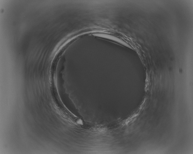 X0000065990247200603031202
