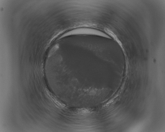 X0000065990249200603031202