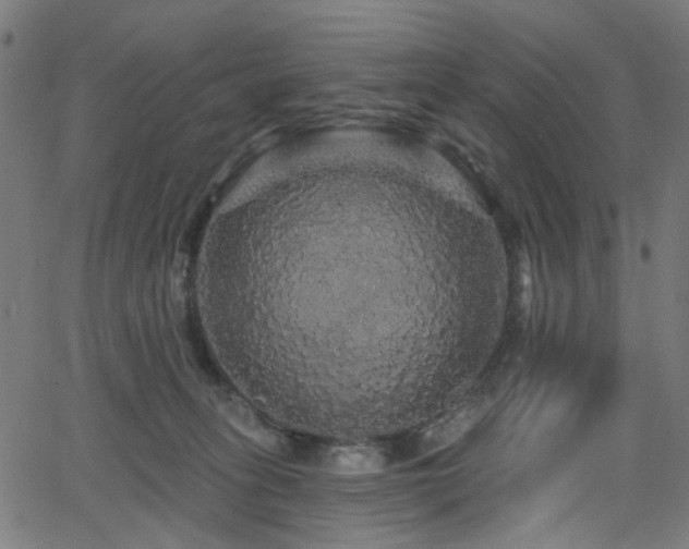 X0000065990275200603031203