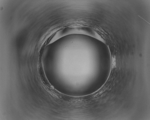 X0000065990291200603031202
