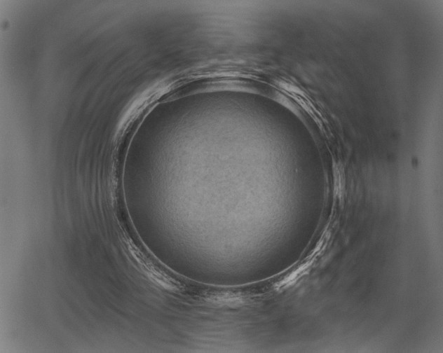 X0000065990293200603031202