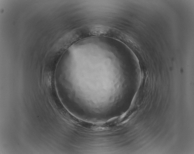X0000065990315200603031202