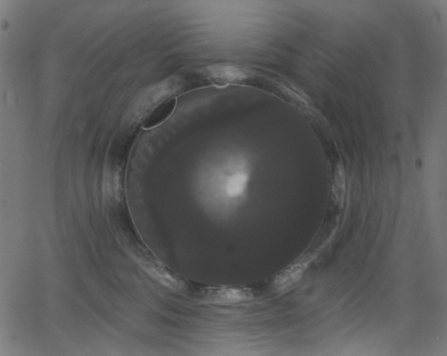 X0000065990330200603031202