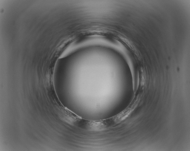 X0000065990333200603031202