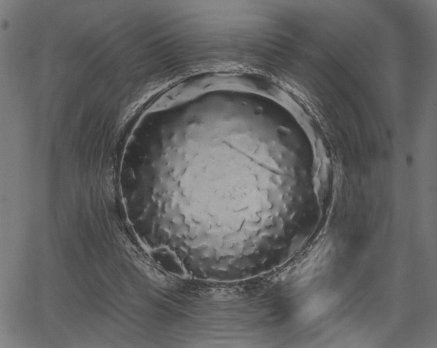 X0000065990345200603031201