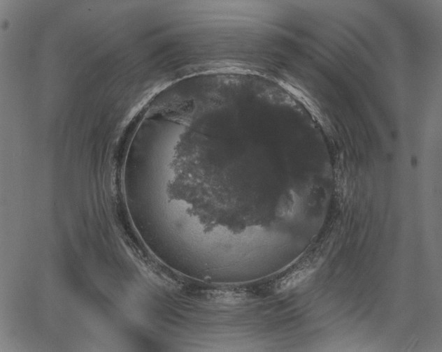 X0000065990347200603031201