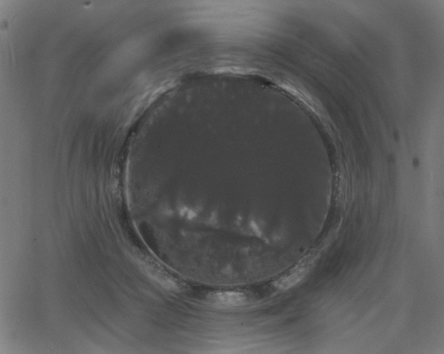 X0000065990361200603031201