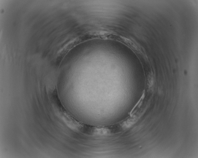 X0000065990376200603031201