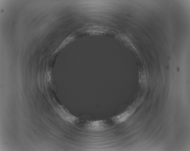 X0000065990382200603031201