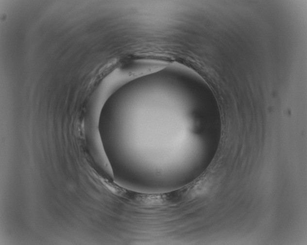 X0000065990384200603031202