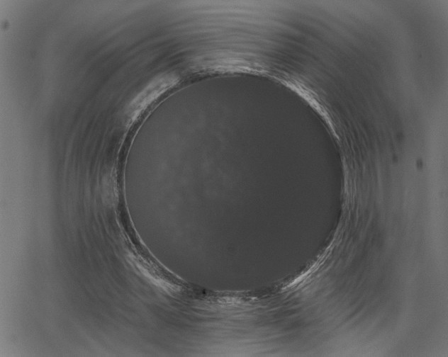 X0000065990390200603031201